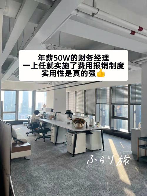 信阳世纪中欣教育信息咨询: 年薪50w的财务经理一上任就实施了费用